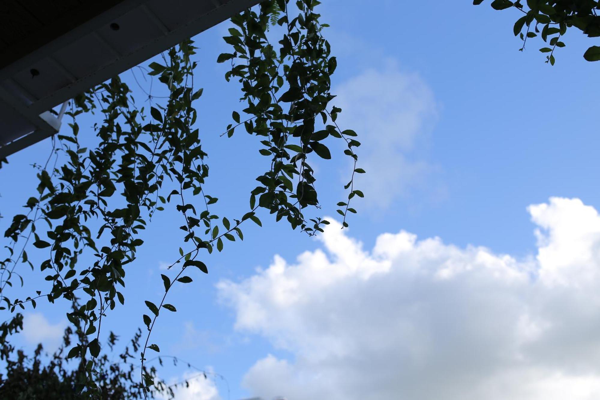 The Eudora Homestay Хайфонг Екстериор снимка